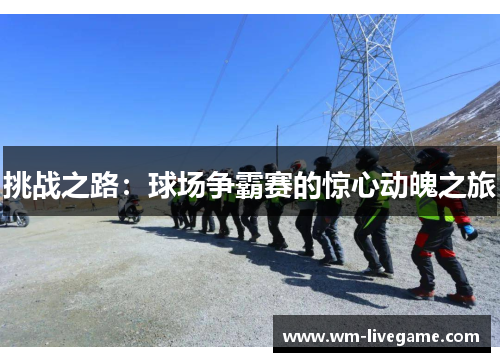挑战之路：球场争霸赛的惊心动魄之旅