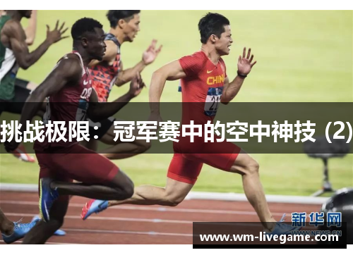 挑战极限：冠军赛中的空中神技 (2)