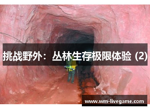 挑战野外：丛林生存极限体验 (2)