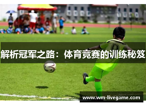 解析冠军之路：体育竞赛的训练秘笈