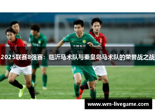 2025联赛8强赛：临沂马术队与秦皇岛马术队的荣誉战之战