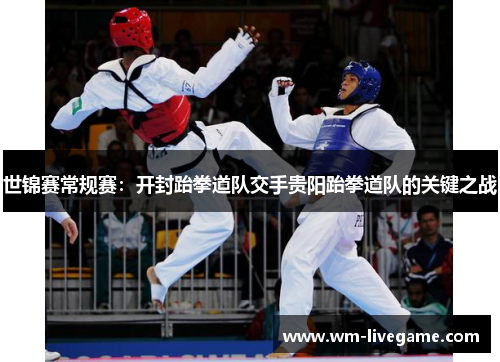 世锦赛常规赛：开封跆拳道队交手贵阳跆拳道队的关键之战